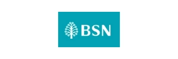 BSN logo